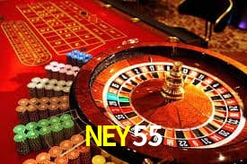 NEY55 Indicadores de vuelo